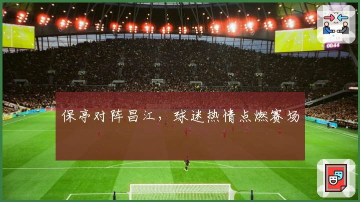 保亭对阵昌江，球迷热情点燃赛场